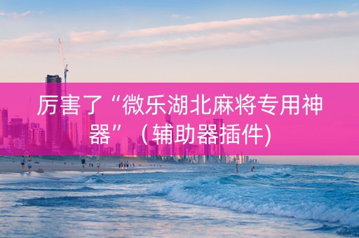 厉害了“微乐湖北麻将专用神器”（辅助器插件)