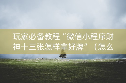 玩家必备教程“微信小程序财神十三张怎样拿好牌”（怎么让系统给自己好牌)