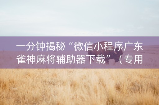 一分钟揭秘“微信小程序广东雀神麻将辅助器下载”（专用神器下载)