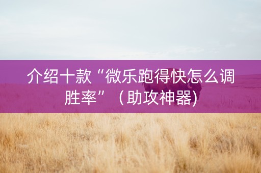 介绍十款“微乐跑得快怎么调胜率”（助攻神器)
