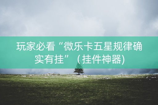 玩家必看“微乐卡五星规律确实有挂”（挂件神器)