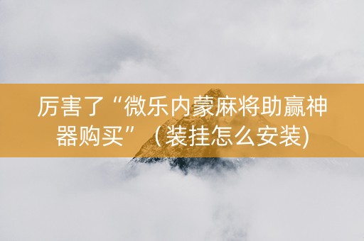 厉害了“微乐内蒙麻将助赢神器购买”（装挂怎么安装)