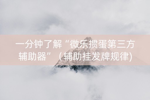 一分钟了解“微乐掼蛋第三方辅助器”（辅助挂发牌规律)
