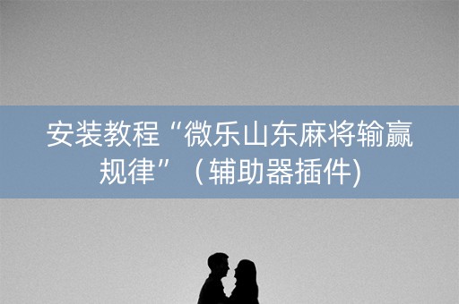 安装教程“微乐山东麻将输赢规律”（辅助器插件)