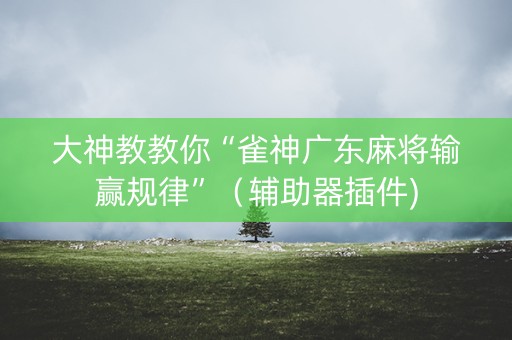 大神教教你“雀神广东麻将输赢规律”（辅助器插件)