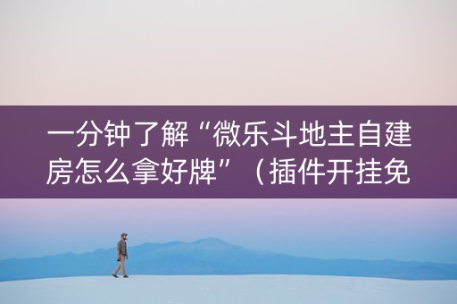一分钟了解“微乐斗地主自建房怎么拿好牌”（插件开挂免费AI)