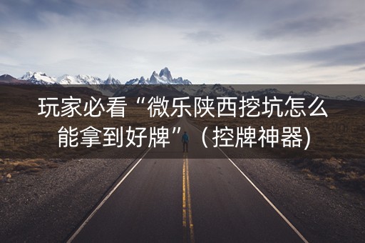 玩家必看“微乐陕西挖坑怎么能拿到好牌”（控牌神器)