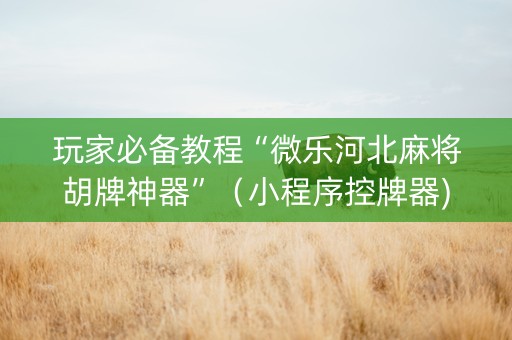 玩家必备教程“微乐河北麻将胡牌神器”（小程序控牌器)
