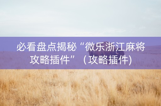 必看盘点揭秘“微乐浙江麻将攻略插件”（攻略插件)