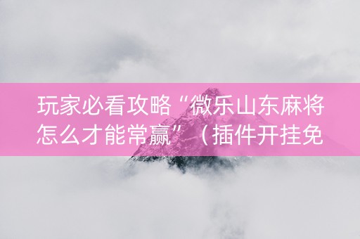 玩家必看攻略“微乐山东麻将怎么才能常赢”（插件开挂免费AI)