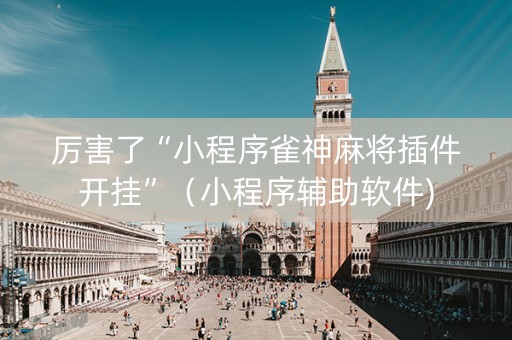 厉害了“小程序雀神麻将插件开挂”（小程序辅助软件)
