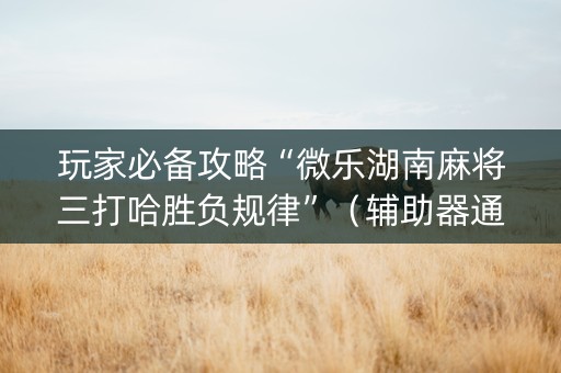 玩家必备攻略“微乐湖南麻将三打哈胜负规律”（辅助器通用版)