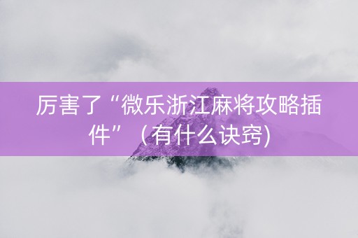 厉害了“微乐浙江麻将攻略插件”（有什么诀窍)