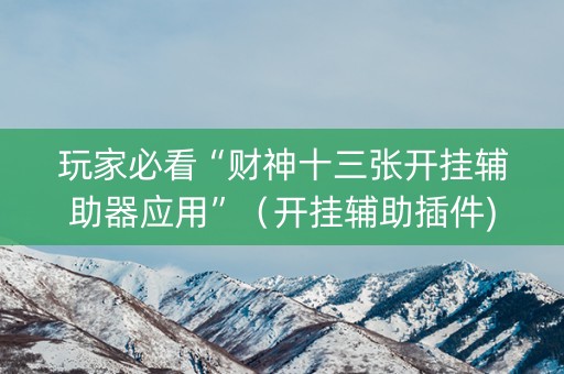 玩家必看“财神十三张开挂辅助器应用”（开挂辅助插件)