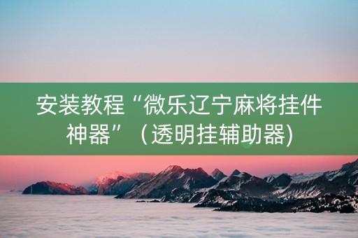 安装教程“微乐辽宁麻将挂件神器”（透明挂辅助器)
