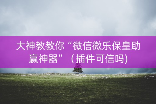 大神教教你“微信微乐保皇助赢神器”（插件可信吗)