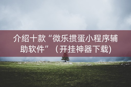 介绍十款“微乐掼蛋小程序辅助软件”（开挂神器下载)