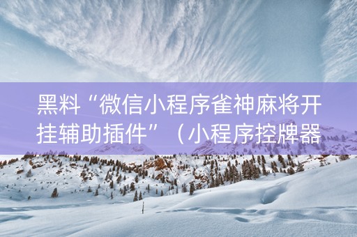 黑料“微信小程序雀神麻将开挂辅助插件”（小程序控牌器)