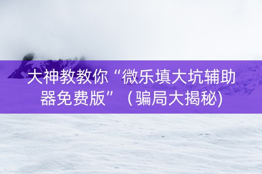 大神教教你“微乐填大坑辅助器免费版”（骗局大揭秘)