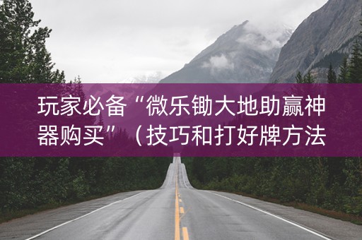 玩家必备“微乐锄大地助赢神器购买”（技巧和打好牌方法)
