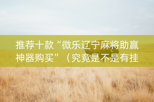 推荐十款“微乐辽宁麻将助赢神器购买”（究竟是不是有挂)