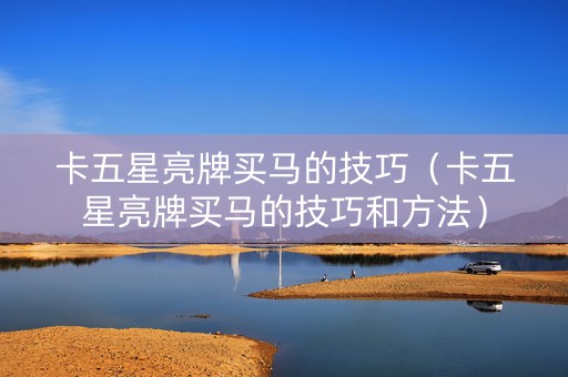 卡五星亮牌买马的技巧（卡五星亮牌买马的技巧和方法）