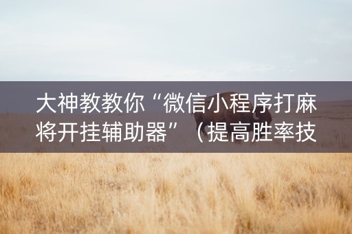 大神教教你“微信小程序打麻将开挂辅助器”（提高胜率技巧)