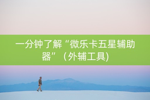 一分钟了解“微乐卡五星辅助器”（外辅工具)