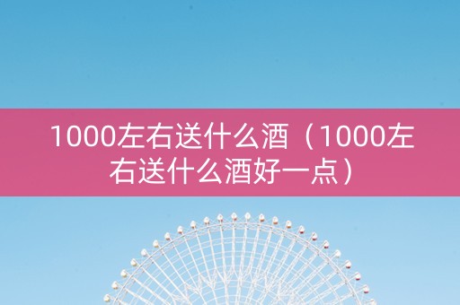 1000左右送什么酒（1000左右送什么酒好一点）