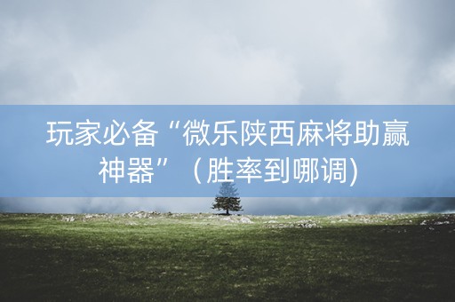 玩家必备“微乐陕西麻将助赢神器”（胜率到哪调)