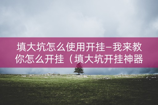 填大坑怎么使用开挂—我来教你怎么开挂（填大坑开挂神器下载）