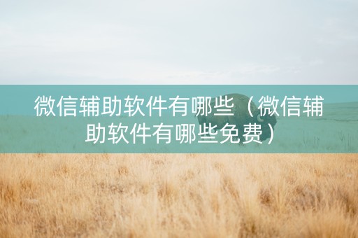 微信辅助软件有哪些（微信辅助软件有哪些免费）