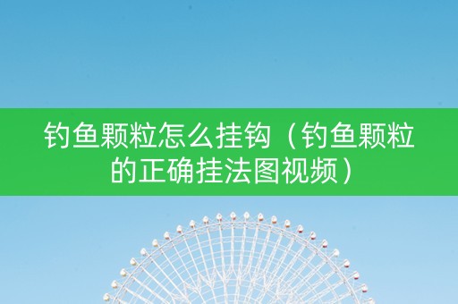 钓鱼颗粒怎么挂钩（钓鱼颗粒的正确挂法图视频）