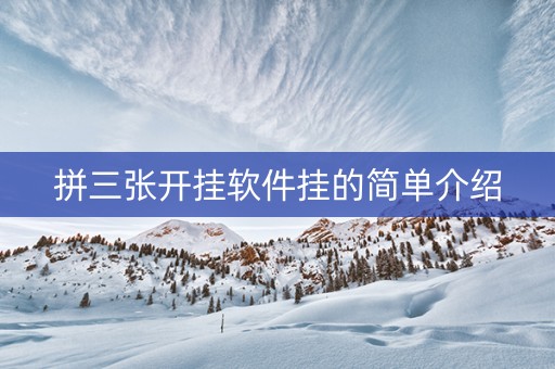 拼三张开挂软件挂的简单介绍