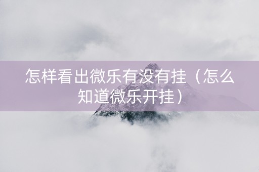 怎样看出微乐有没有挂（怎么知道微乐开挂）