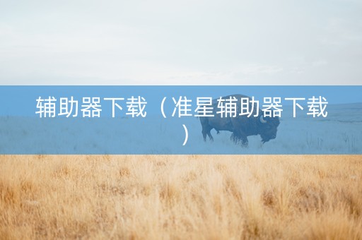 辅助器下载（准星辅助器下载）