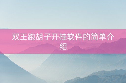 双王跑胡子开挂软件的简单介绍