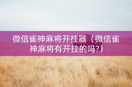 微信雀神麻将开挂器（微信雀神麻将有开挂的吗?）