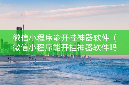 微信小程序能开挂神器软件（微信小程序能开挂神器软件吗）