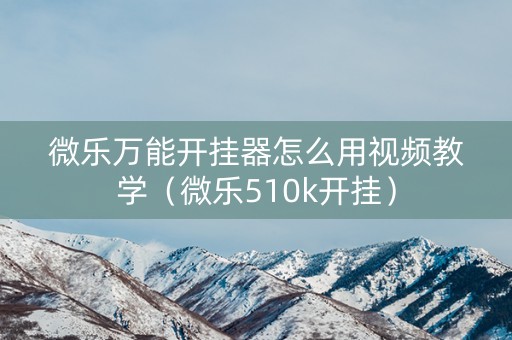 微乐万能开挂器怎么用视频教学（微乐510k开挂）