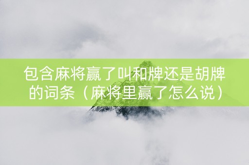包含麻将赢了叫和牌还是胡牌的词条（麻将里赢了怎么说）