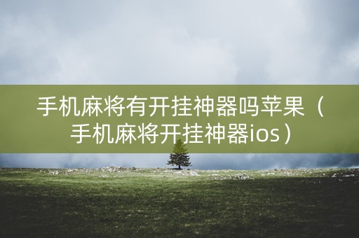 手机麻将有开挂神器吗苹果（手机麻将开挂神器ios）