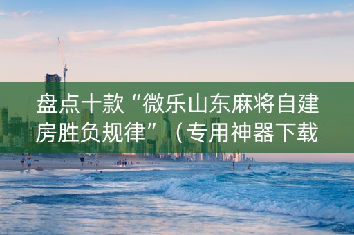 盘点十款“微乐山东麻将自建房胜负规律”（专用神器下载)