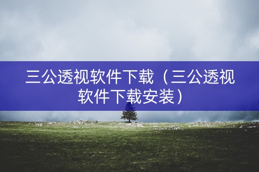 三公透视软件下载（三公透视软件下载安装）