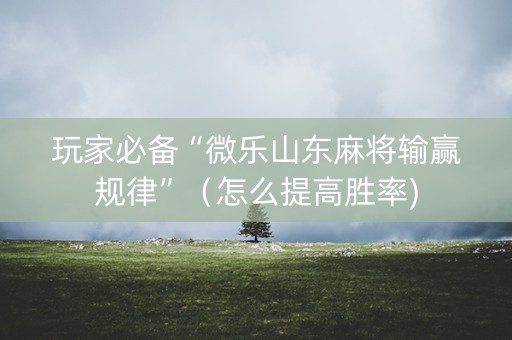 玩家必备“微乐山东麻将输赢规律”（怎么提高胜率)