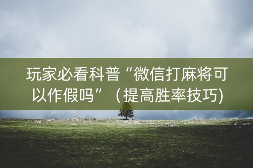 玩家必看科普“微信打麻将可以作假吗”（提高胜率技巧)