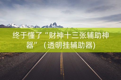 终于懂了“财神十三张辅助神器”（透明挂辅助器)