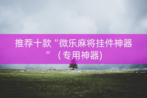 推荐十款“微乐麻将挂件神器”（专用神器)