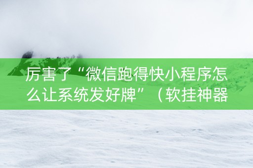 厉害了“微信跑得快小程序怎么让系统发好牌”（软挂神器)