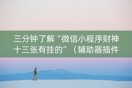 三分钟了解“微信小程序财神十三张有挂的”（辅助器插件)